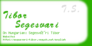 tibor segesvari business card